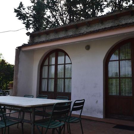 Agriturismo La Fidanza San Gimignano Ngoại thất bức ảnh